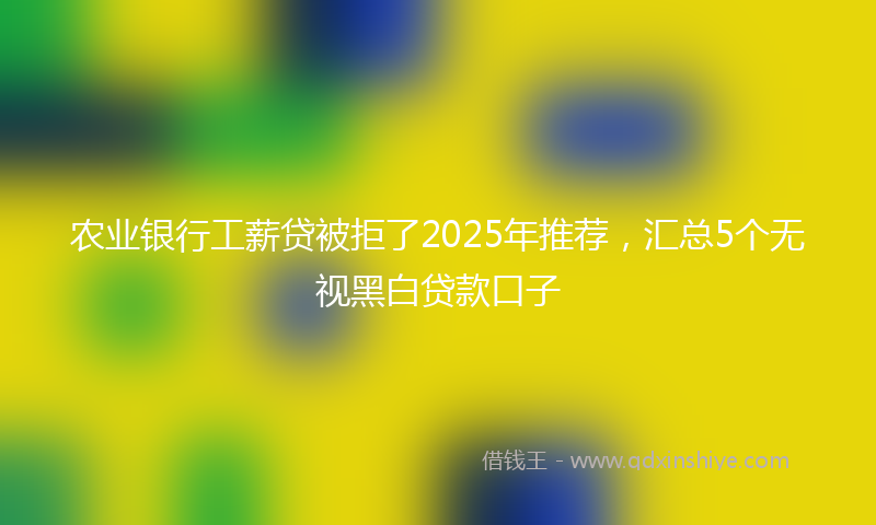 农业银行工薪贷被拒了2025年推荐，汇总5个无视黑白贷款口子