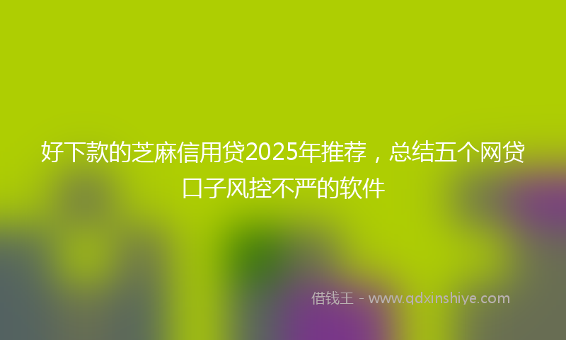 好下款的芝麻信用贷2025年推荐，总结五个网贷口子风控不严的软件