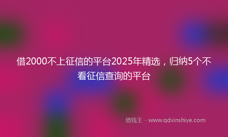 借2000不上征信的平台2025年精选，归纳5个不看征信查询的平台