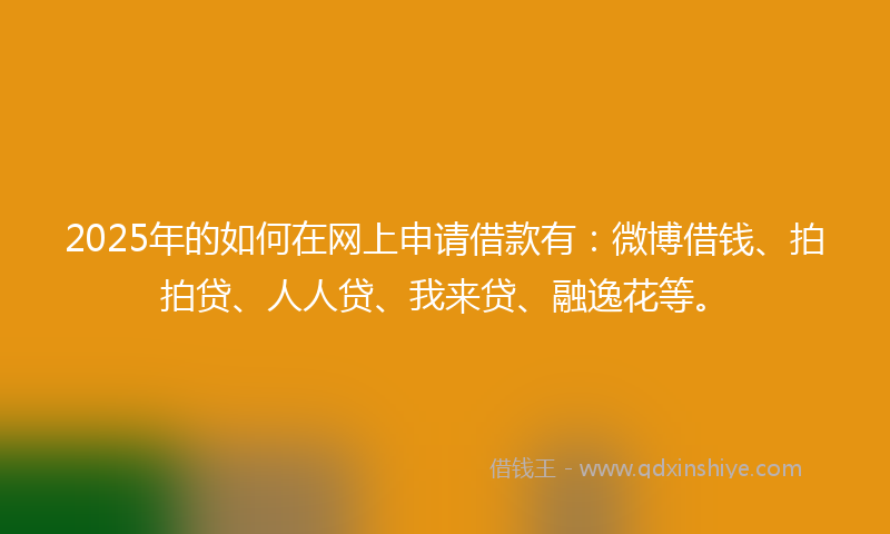 2025年的如何在网上申请借款有：微博借钱、拍拍贷、人人贷、我来贷、融逸花等。
