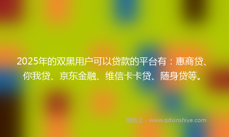 2025年的双黑用户可以贷款的平台有：惠商贷、你我贷、京东金融、维信卡卡贷、随身贷等。