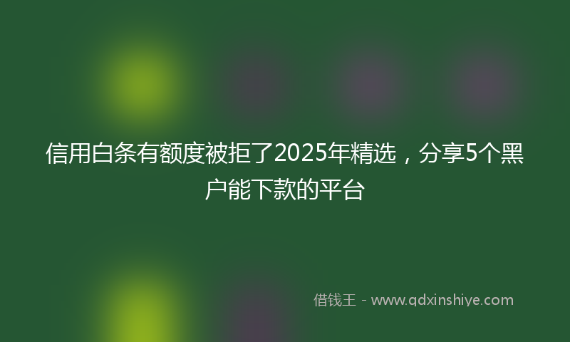 信用白条有额度被拒了2025年精选，分享5个黑户能下款的平台
