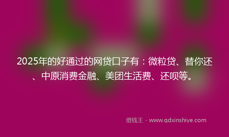 2025年的好通过的网贷口子有：微粒贷、替你还、中原消费金融、美团生活费、还呗等。