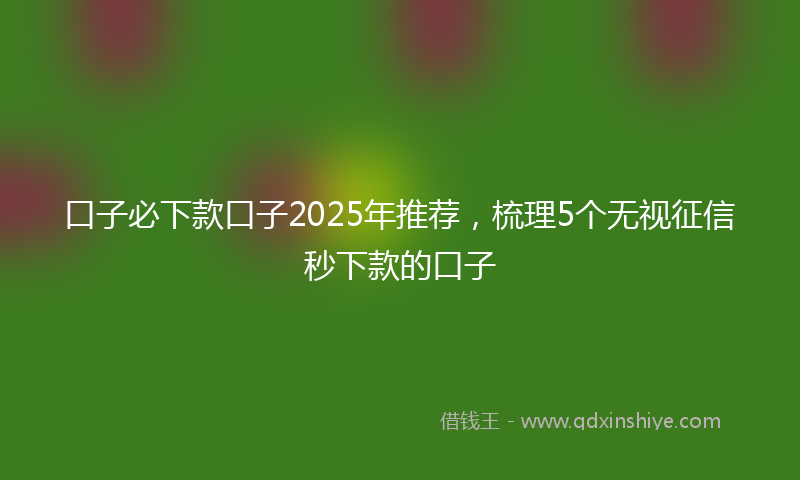 口子必下款口子2025年推荐，梳理5个无视征信秒下款的口子