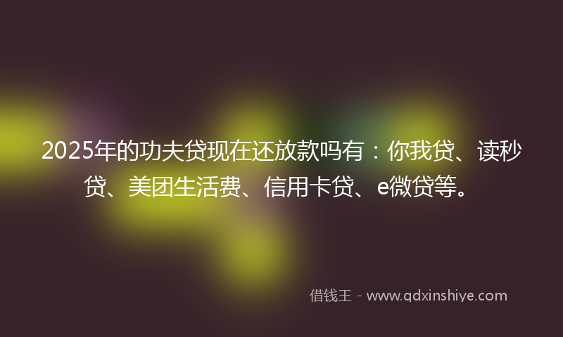 2025年的功夫贷现在还放款吗有：你我贷、读秒贷、美团生活费、信用卡贷、e微贷等。