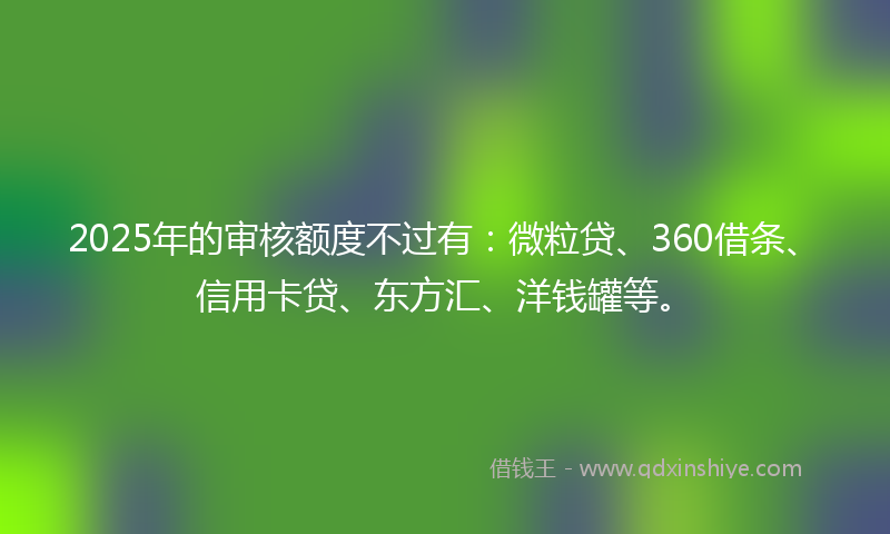 2025年的审核额度不过有：微粒贷、360借条、信用卡贷、东方汇、洋钱罐等。