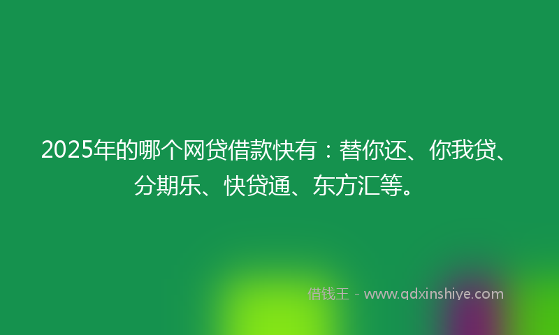 2025年的哪个网贷借款快有：替你还、你我贷、分期乐、快贷通、东方汇等。