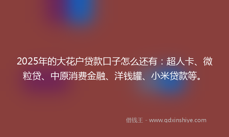 2025年的大花户贷款口子怎么还有：超人卡、微粒贷、中原消费金融、洋钱罐、小米贷款等。