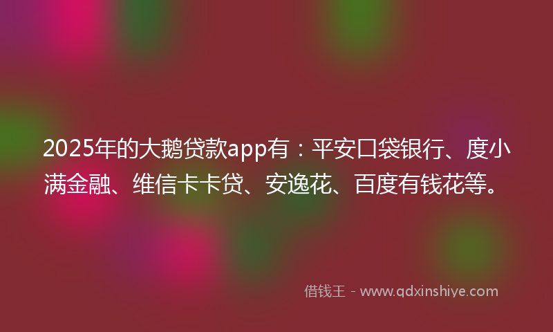 2025年的大鹅贷款app有：平安口袋银行、度小满金融、维信卡卡贷、安逸花、百度有钱花等。