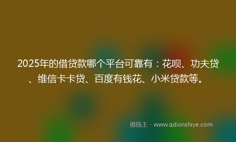 2025年的借贷款哪个平台可靠有：花呗、功夫贷、维信卡卡贷、百度有钱花、小米贷款等。