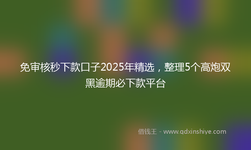 免审核秒下款口子2025年精选，整理5个高炮双黑逾期必下款平台