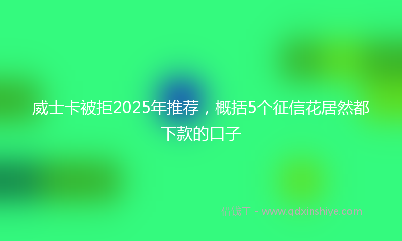 威士卡被拒2025年推荐，概括5个征信花居然都下款的口子