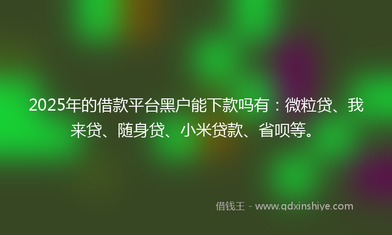 2025年的借款平台黑户能下款吗有：微粒贷、我来贷、随身贷、小米贷款、省呗等。