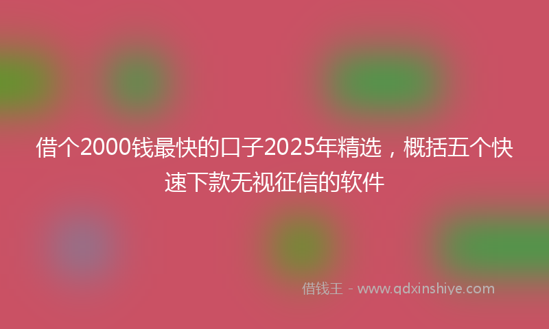 借个2000钱最快的口子2025年精选，概括五个快速下款无视征信的软件