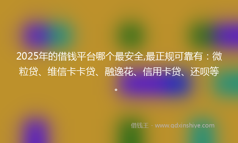 2025年的借钱平台哪个最安全,最正规可靠有：微粒贷、维信卡卡贷、融逸花、信用卡贷、还呗等。
