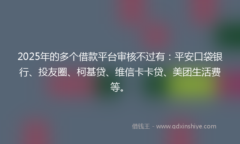 2025年的多个借款平台审核不过有：平安口袋银行、投友圈、柯基贷、维信卡卡贷、美团生活费等。