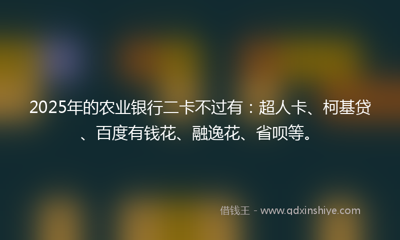 2025年的农业银行二卡不过有：超人卡、柯基贷、百度有钱花、融逸花、省呗等。