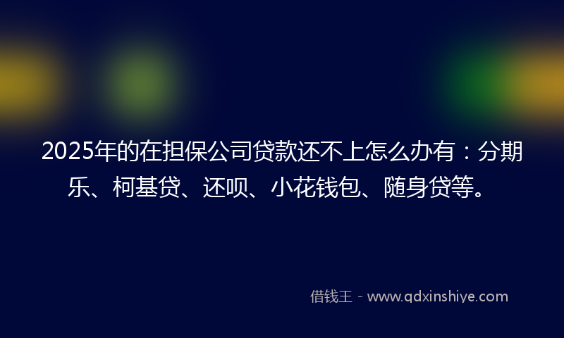 2025年的在担保公司贷款还不上怎么办有：分期乐、柯基贷、还呗、小花钱包、随身贷等。