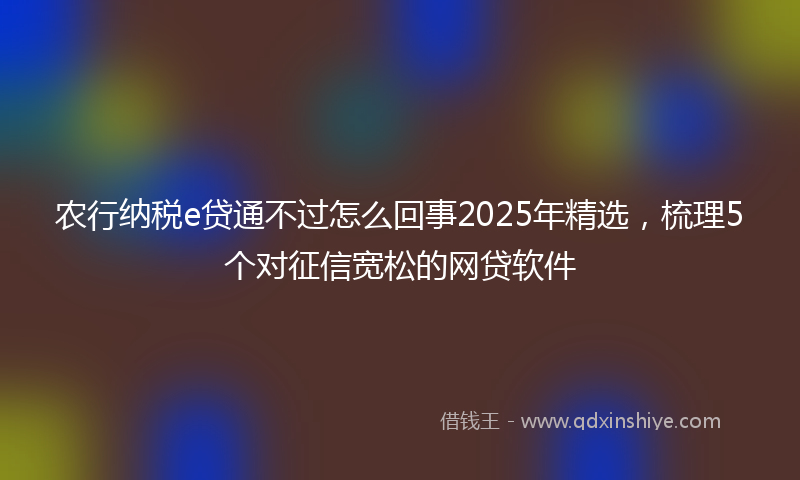 农行纳税e贷通不过怎么回事2025年精选，梳理5个对征信宽松的网贷软件