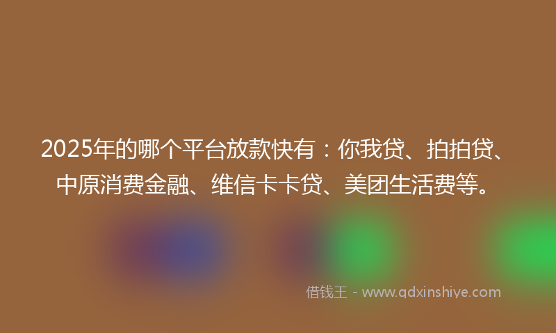 2025年的哪个平台放款快有：你我贷、拍拍贷、中原消费金融、维信卡卡贷、美团生活费等。