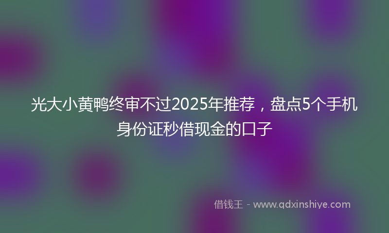 光大小黄鸭终审不过2025年推荐，盘点5个手机身份证秒借现金的口子