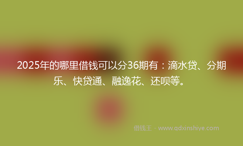 2025年的哪里借钱可以分36期有：滴水贷、分期乐、快贷通、融逸花、还呗等。