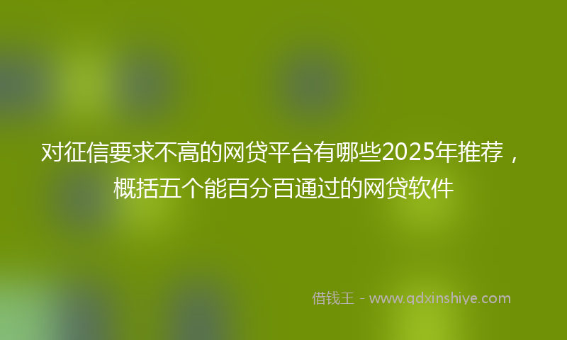 对征信要求不高的网贷平台有哪些2025年推荐，概括五个能百分百通过的网贷软件