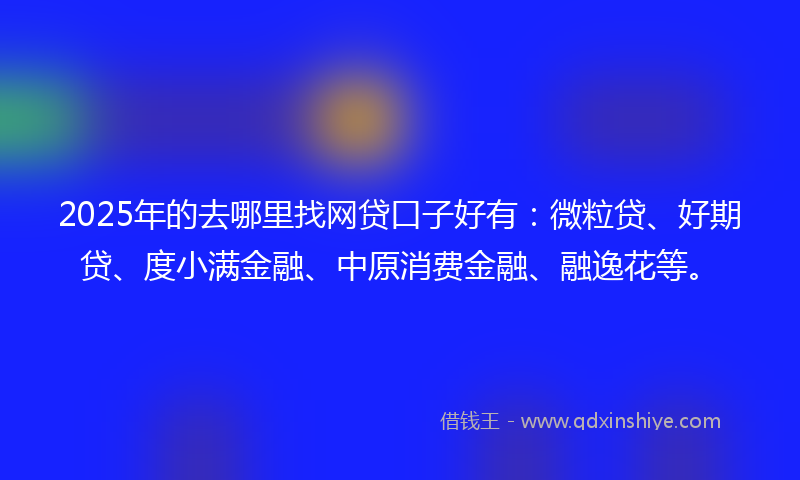 2025年的去哪里找网贷口子好有：微粒贷、好期贷、度小满金融、中原消费金融、融逸花等。