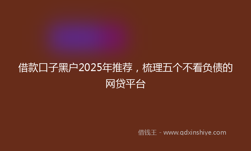 借款口子黑户2025年推荐，梳理五个不看负债的网贷平台