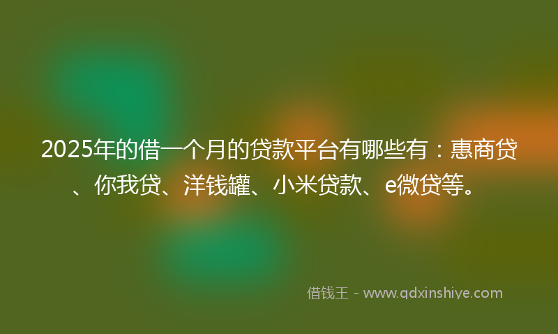 2025年的借一个月的贷款平台有哪些有：惠商贷、你我贷、洋钱罐、小米贷款、e微贷等。