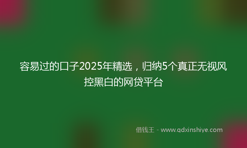 容易过的口子2025年精选，归纳5个真正无视风控黑白的网贷平台
