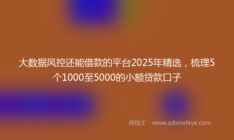 大数据风控还能借款的平台2025年精选，梳理5个1000至5000的小额贷款口子