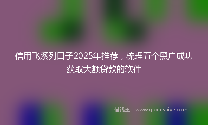 信用飞系列口子2025年推荐，梳理五个黑户成功获取大额贷款的软件