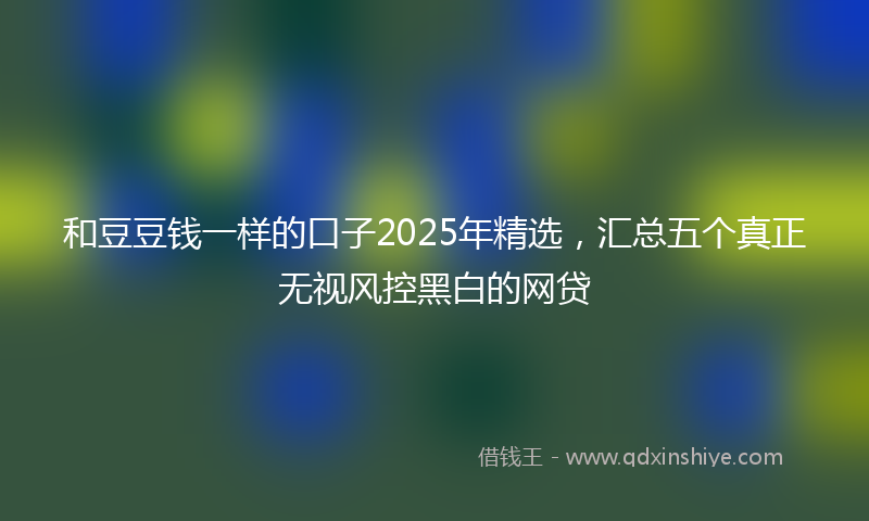 和豆豆钱一样的口子2025年精选，汇总五个真正无视风控黑白的网贷