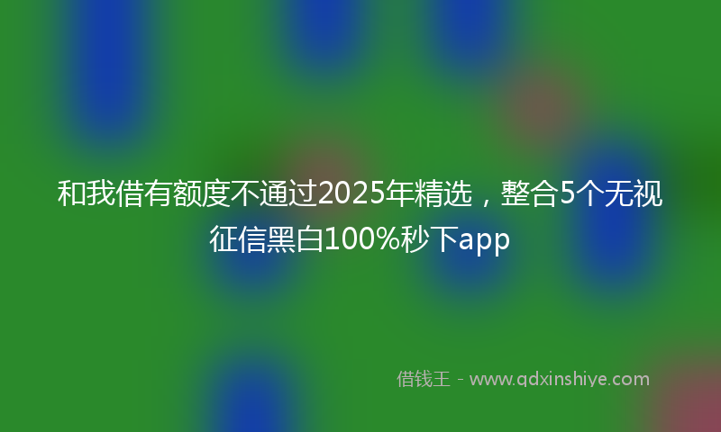 和我借有额度不通过2025年精选，整合5个无视征信黑白100%秒下app