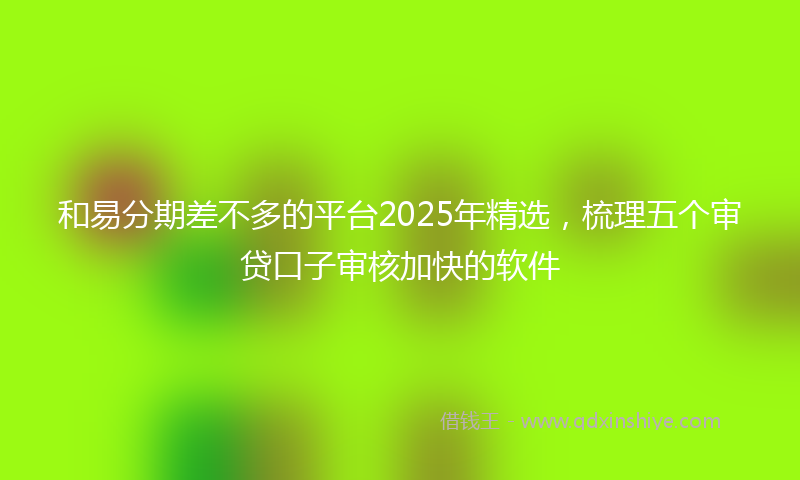 和易分期差不多的平台2025年精选，梳理五个审贷口子审核加快的软件