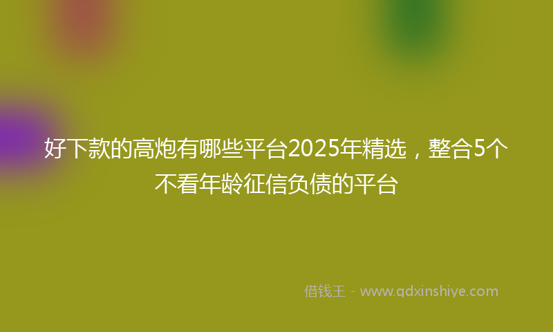 好下款的高炮有哪些平台2025年精选，整合5个不看年龄征信负债的平台