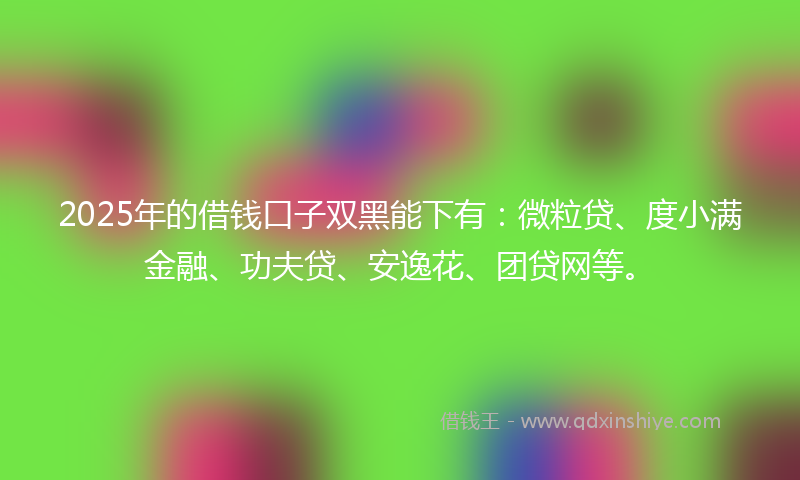 2025年的借钱口子双黑能下有：微粒贷、度小满金融、功夫贷、安逸花、团贷网等。
