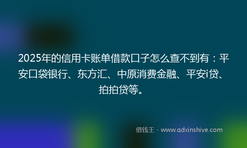 2025年的信用卡账单借款口子怎么查不到有：平安口袋银行、东方汇、中原消费金融、平安i贷、拍拍贷等。