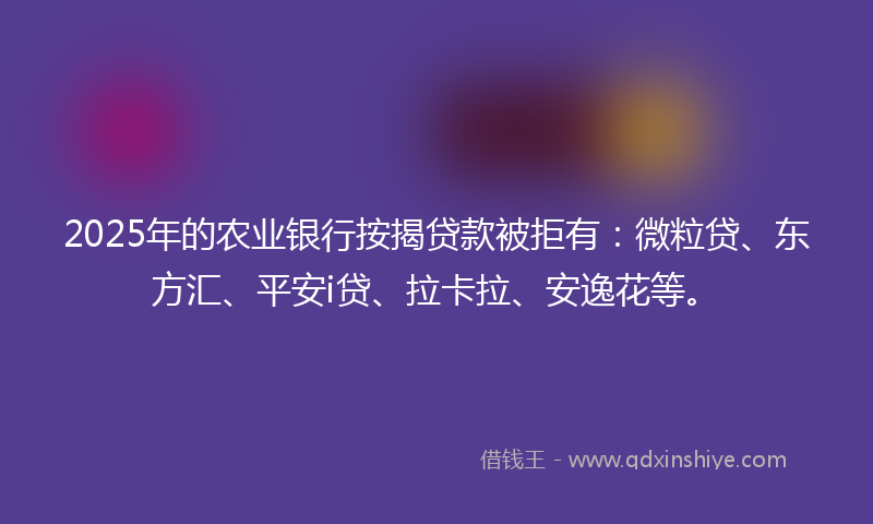 2025年的农业银行按揭贷款被拒有：微粒贷、东方汇、平安i贷、拉卡拉、安逸花等。