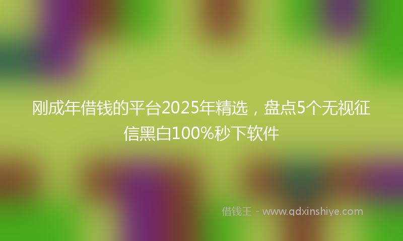 刚成年借钱的平台2025年精选，盘点5个无视征信黑白100%秒下软件