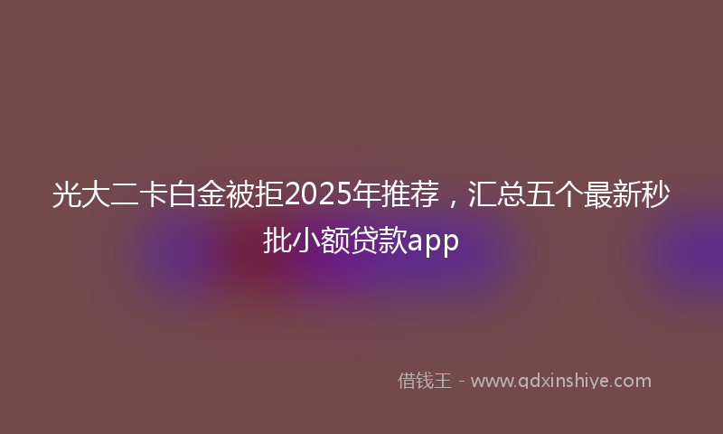 光大二卡白金被拒2025年推荐，汇总五个最新秒批小额贷款app