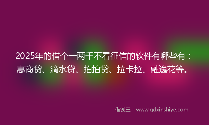 2025年的借个一两千不看征信的软件有哪些有：惠商贷、滴水贷、拍拍贷、拉卡拉、融逸花等。