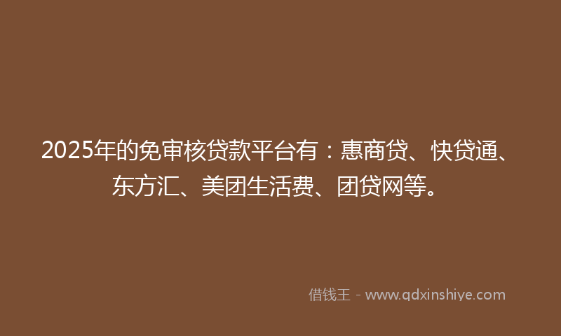 2025年的免审核贷款平台有：惠商贷、快贷通、东方汇、美团生活费、团贷网等。