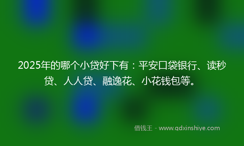 2025年的哪个小贷好下有：平安口袋银行、读秒贷、人人贷、融逸花、小花钱包等。