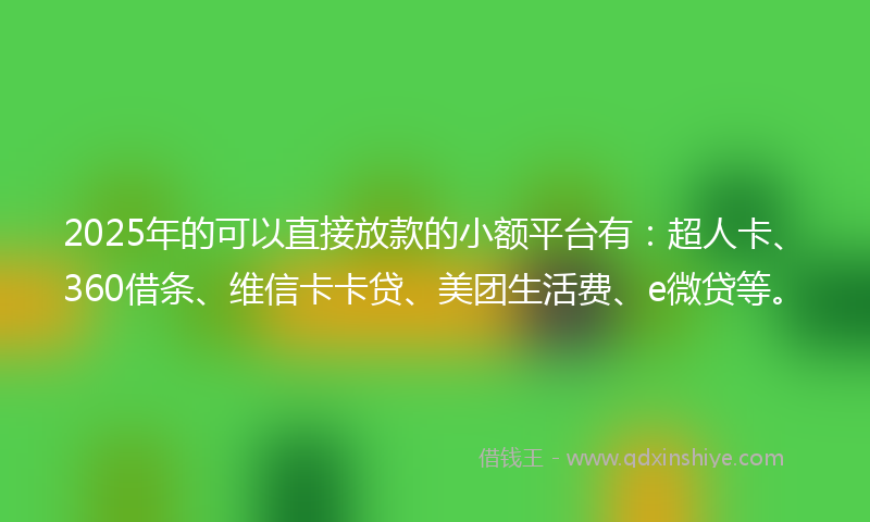2025年的可以直接放款的小额平台有：超人卡、360借条、维信卡卡贷、美团生活费、e微贷等。
