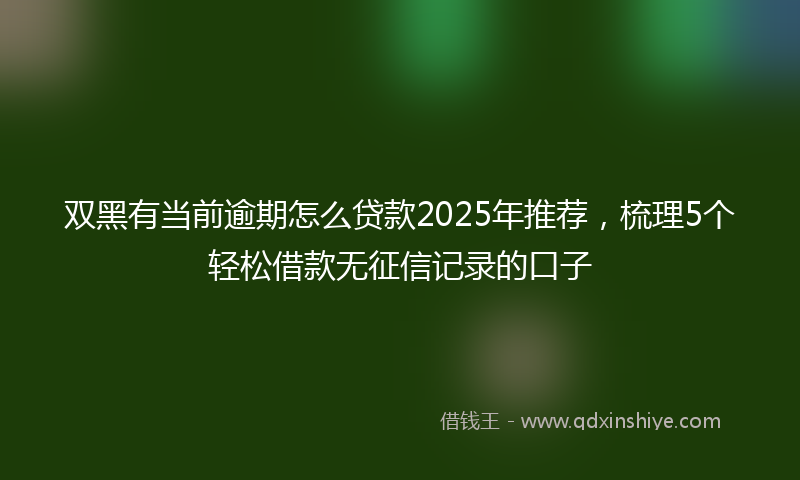 双黑有当前逾期怎么贷款2025年推荐，梳理5个轻松借款无征信记录的口子