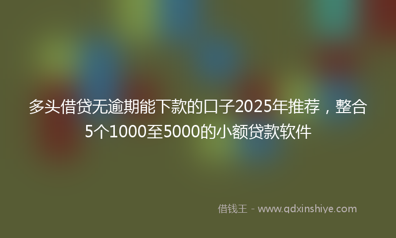 多头借贷无逾期能下款的口子2025年推荐，整合5个1000至5000的小额贷款软件