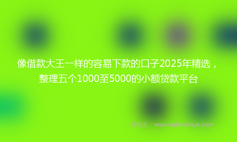 像借款大王一样的容易下款的口子2025年精选，整理五个1000至5000的小额贷款平台