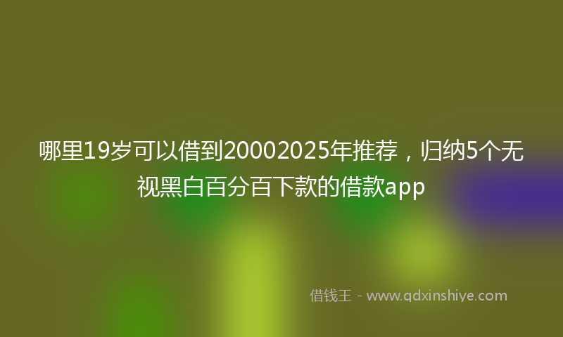 哪里19岁可以借到20002025年推荐，归纳5个无视黑白百分百下款的借款app